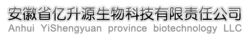 科電檢測(cè)儀